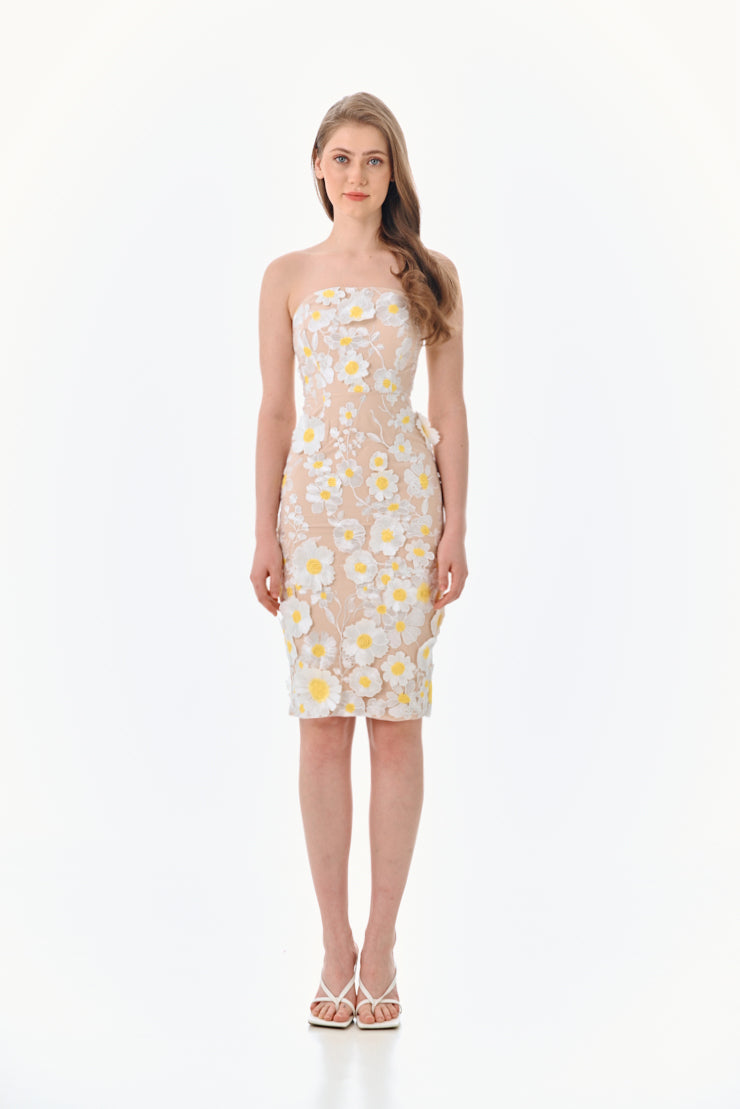 Petrin Dress