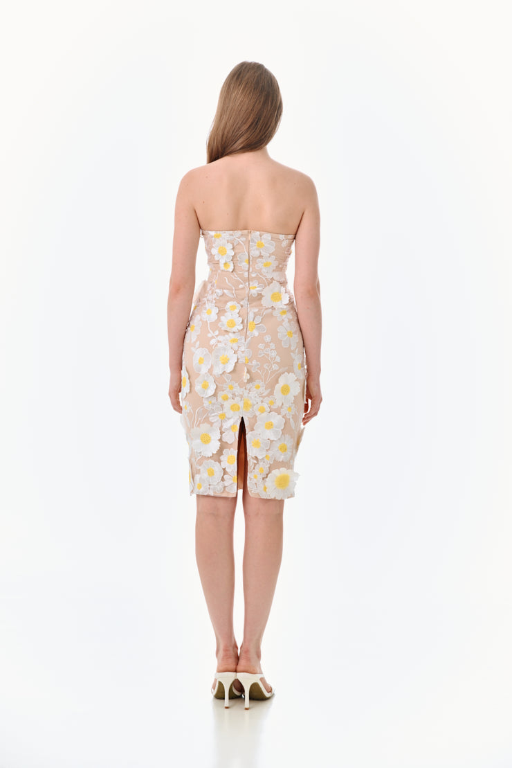 Petrin Dress