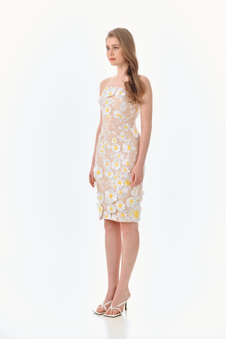 Petrin Dress