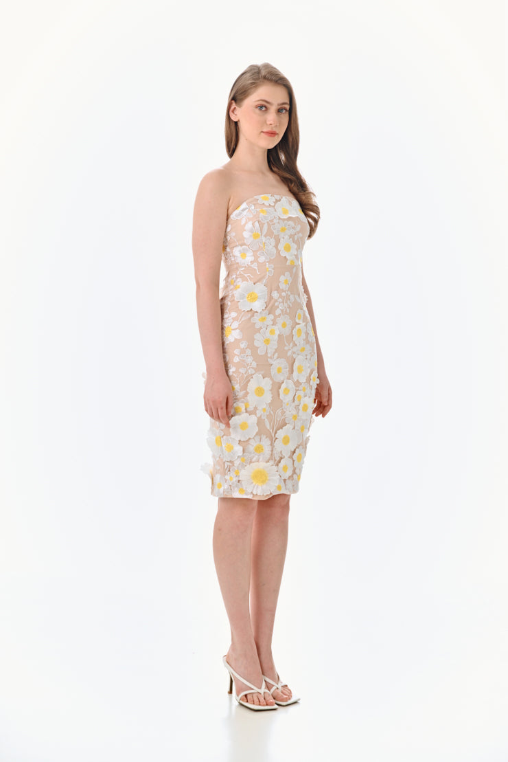 Petrin Dress
