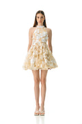 Zinnia Dress